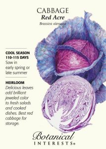 cabbage seed package purple