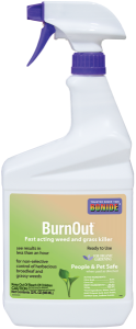 Bondie Burnout