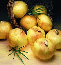 onion texas super sweet