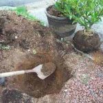 Dig Hole