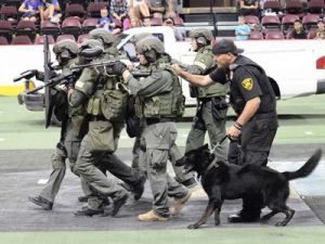swat team and attach dogs