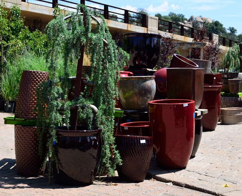 The Beginners Guide To Container Gardening Watters Garden Center