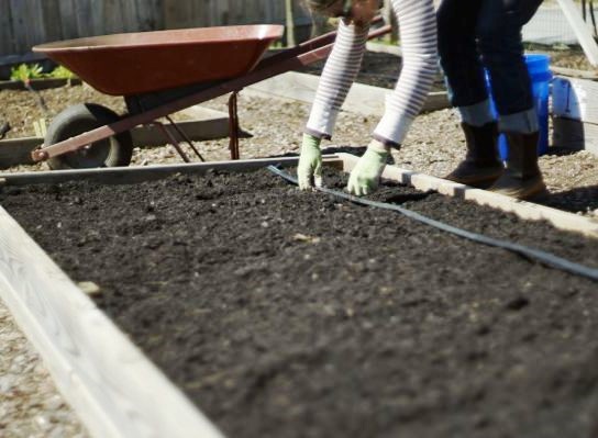 Preparing Garden Soil in a Raised Bed