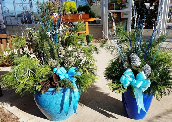 Pine Needles Bad for Our Gardens? - Watters Garden Center