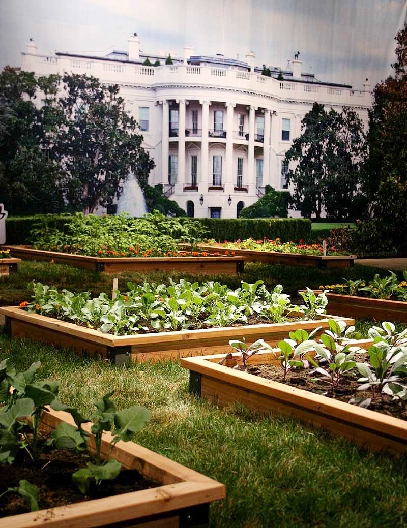 president white house backyard