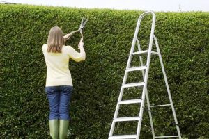 Trimming a Privacy Hedge