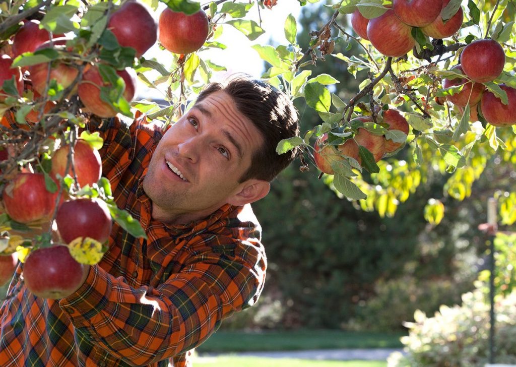 Master Gardener look up at an Apple Tree