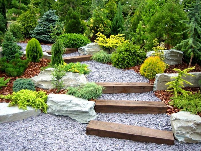 Shrubs along a gravel walkway