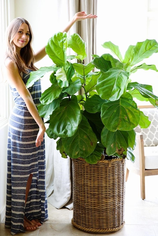 Woman with a houseplant
