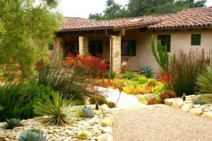southwestern home landscaped with native plants