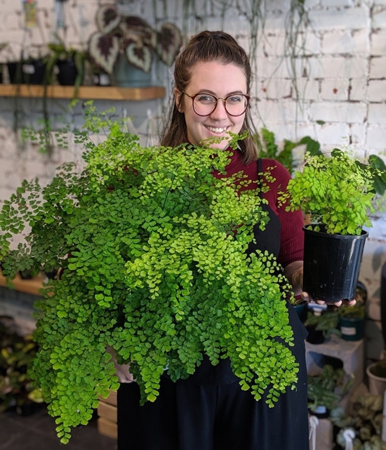 young lady holding a maidenhair fern housplant in a container
