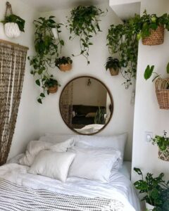philodendron hanging on the wall in a bedroom