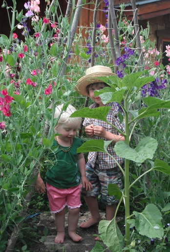 Kids in the Sweet Peas