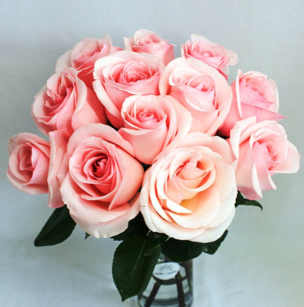 Bouquet of pink Falling in Love Roses