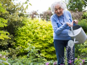 Senior Woman watering flowers in the garden