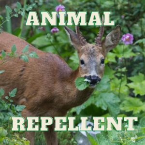 Animal Repellent