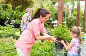 Gardening for Newcomers