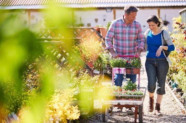 Mature Couple Pushing Trolley With Plants They Have Bought At Garden Center
