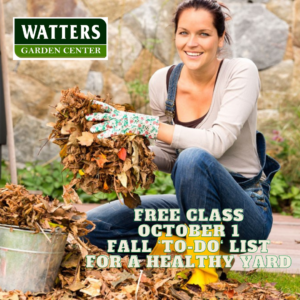 Oct 1 Fall To Do list for a healthy Yard