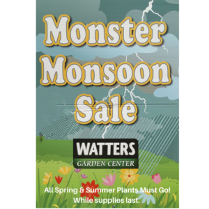 Monsoon Sale Sign