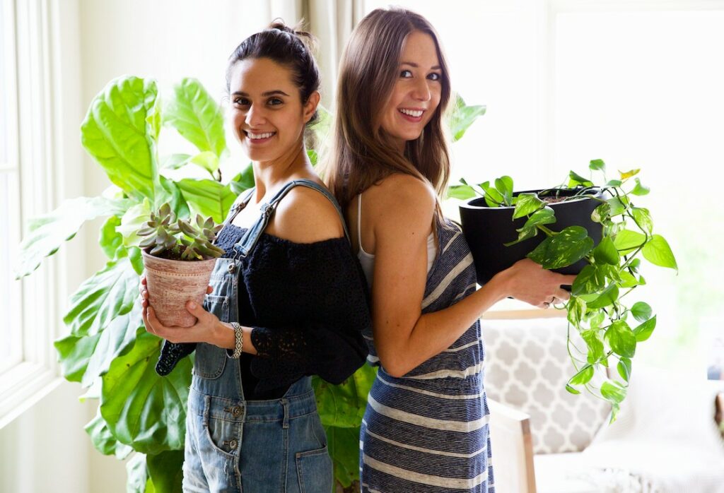 two ladies holding houseplants