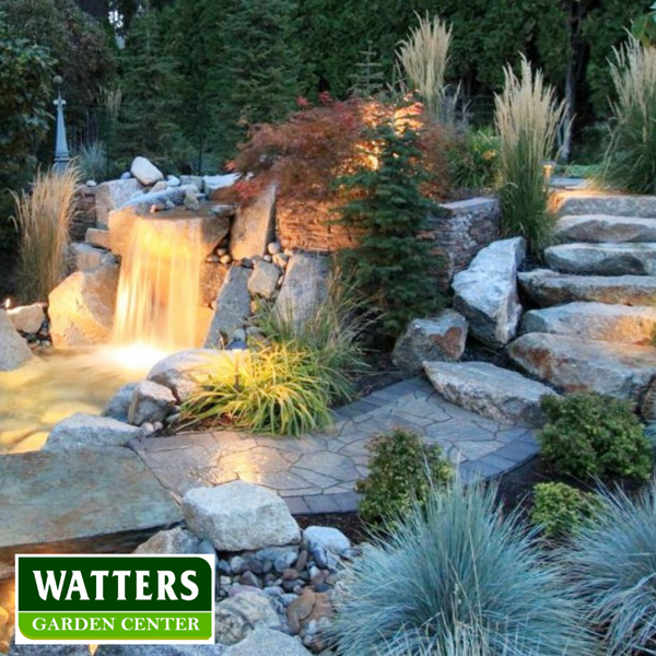 Ornamental Grass shining at night near a water feature