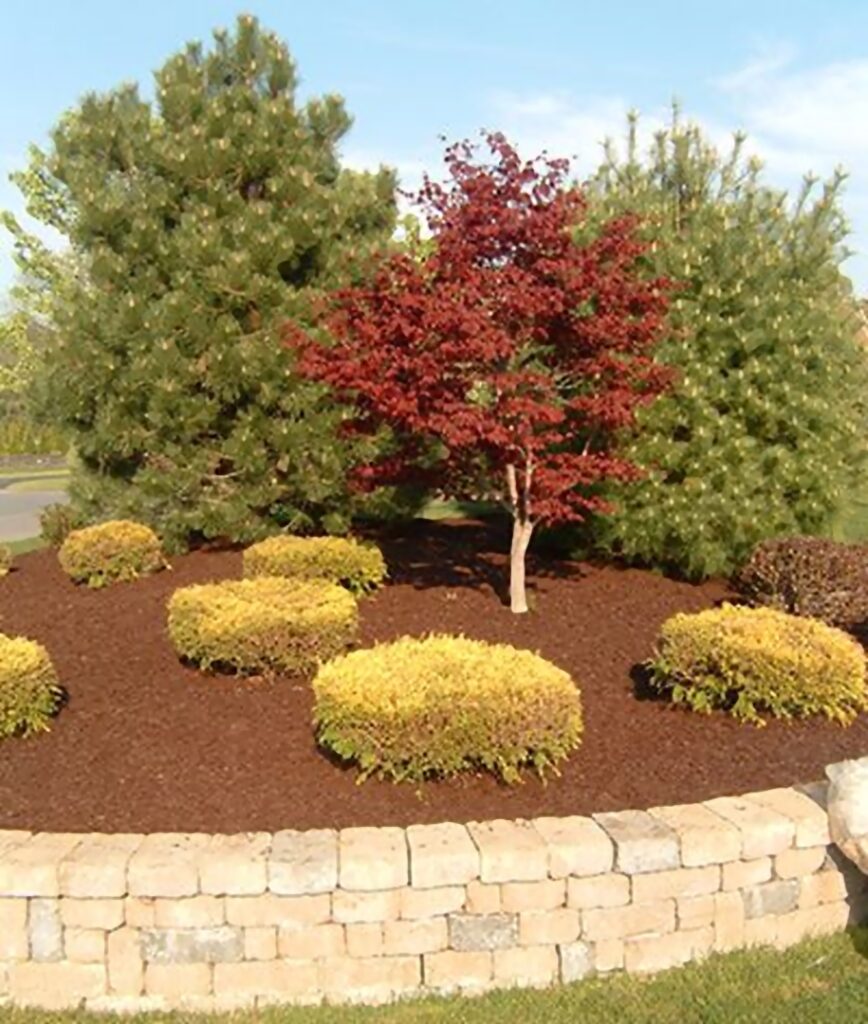 Mulch in the Fall landscape