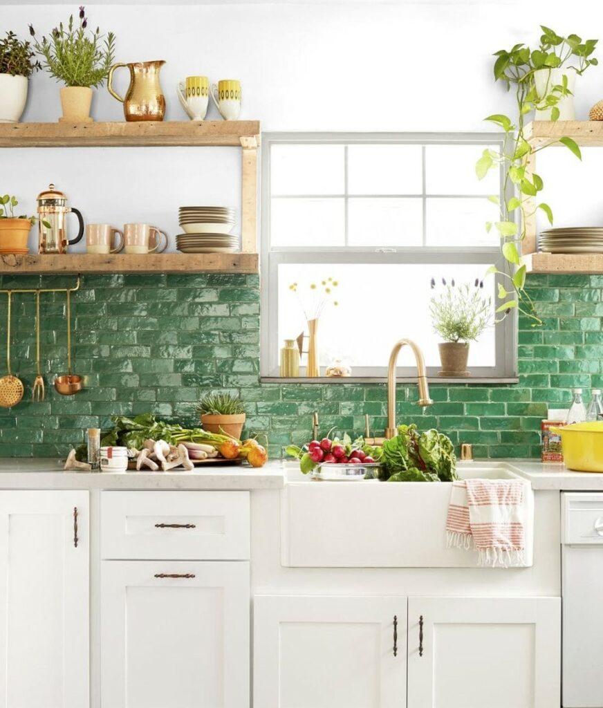 Kitchen Shelves with Houseplants