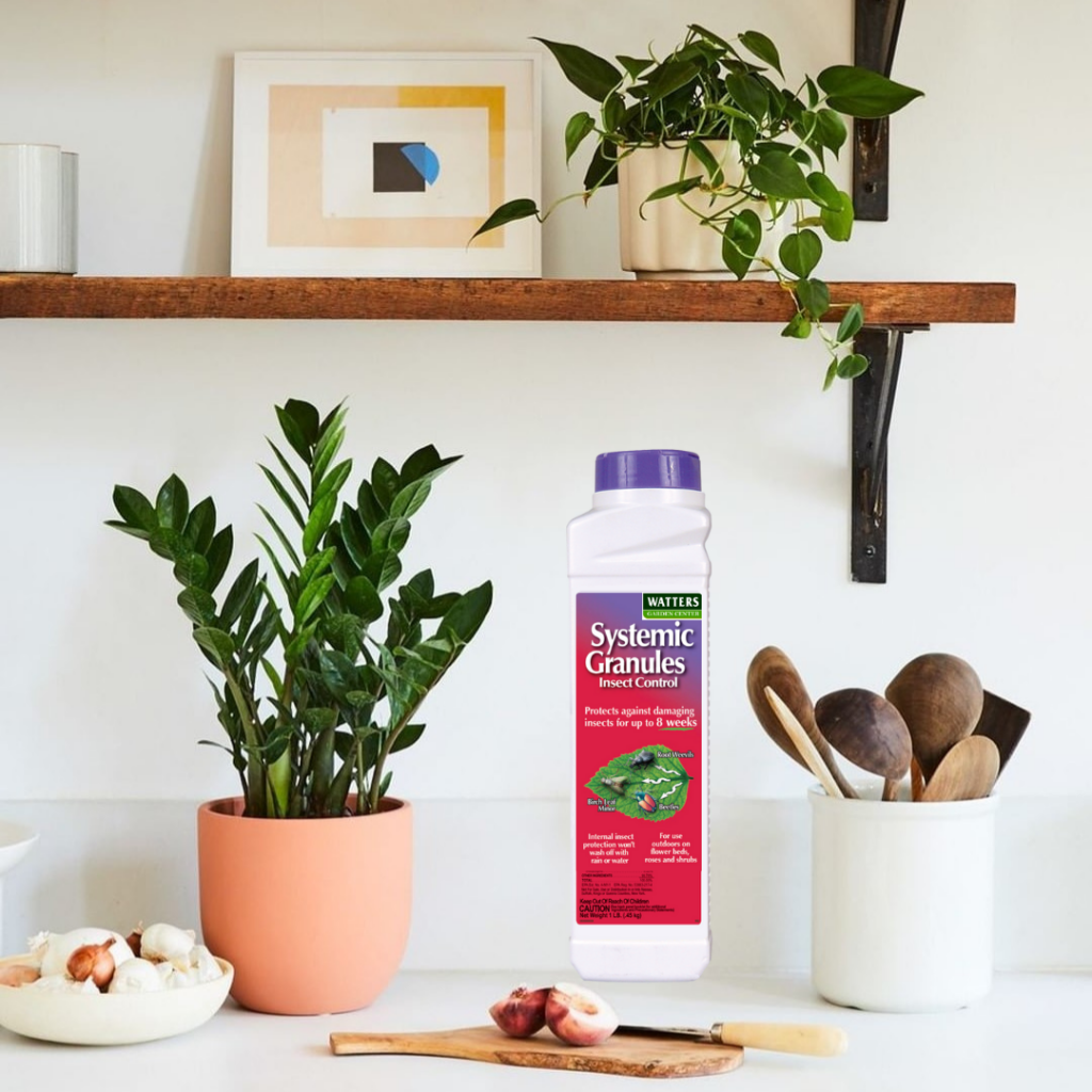 Systemic Granules on a kitchen counter