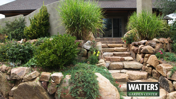 Rock Landscape walkway