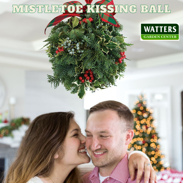 mistletoe kissing ball