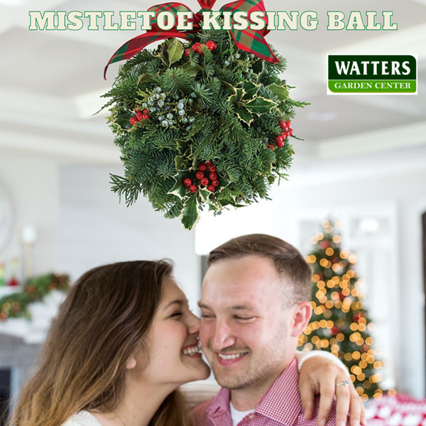 Kissing Balls: The Original Mistletoe - Farmers' Almanac - Plan Your Day.  Grow Your Life.