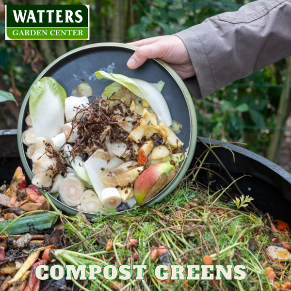 Greens for composting
