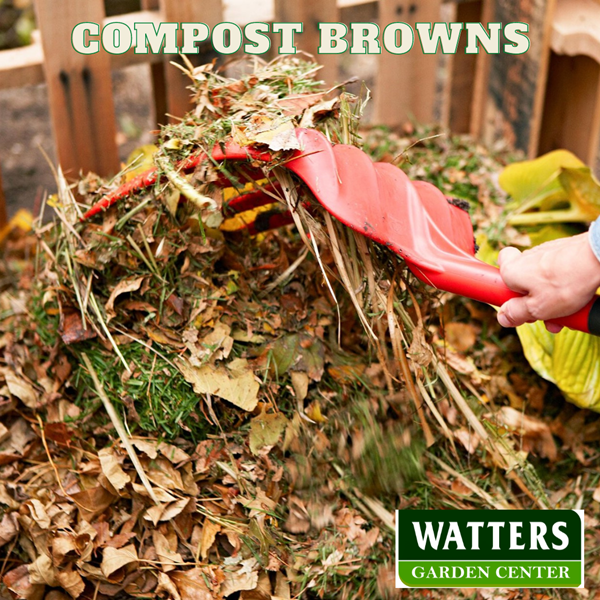 browns for composting