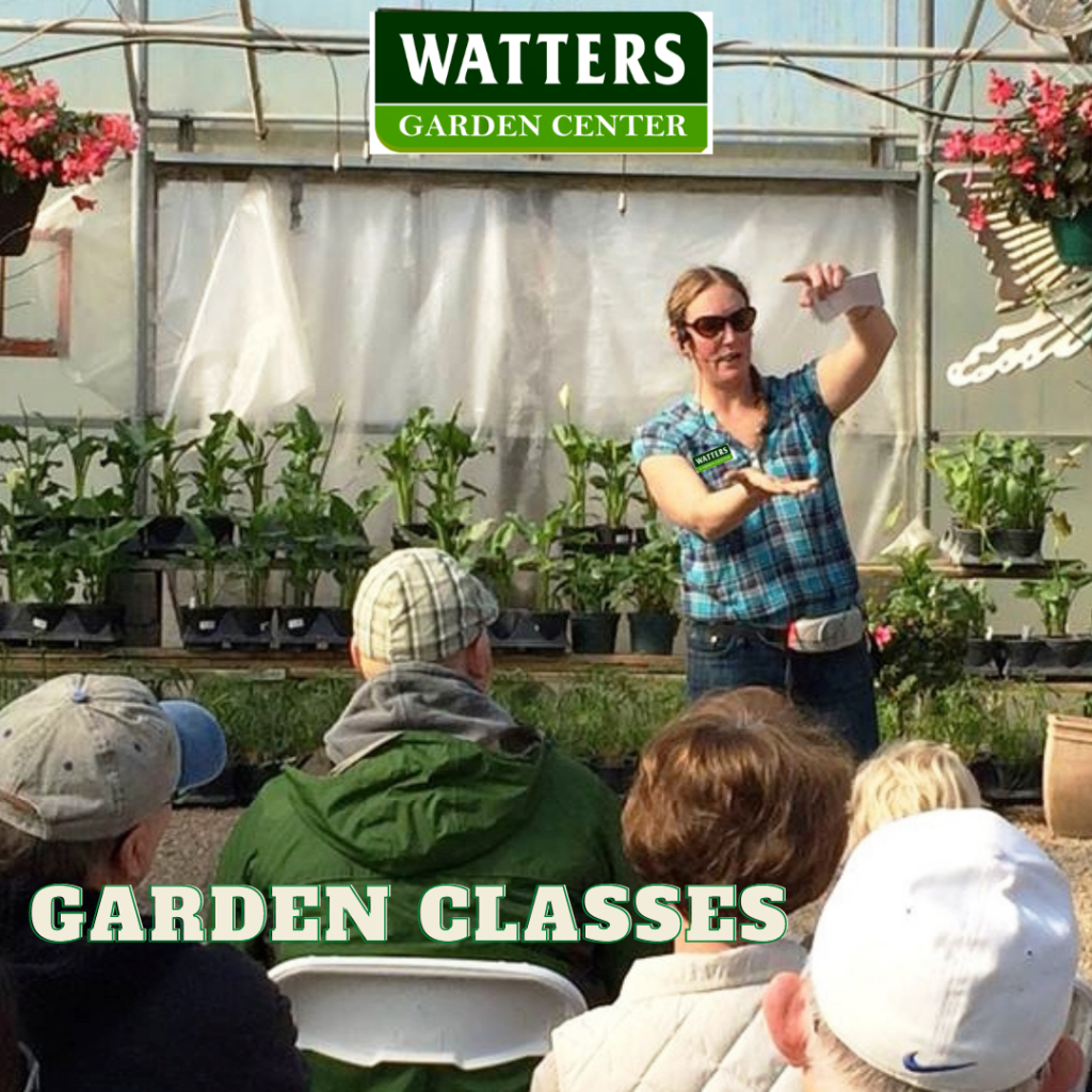 Stacy Teaching Garden Class