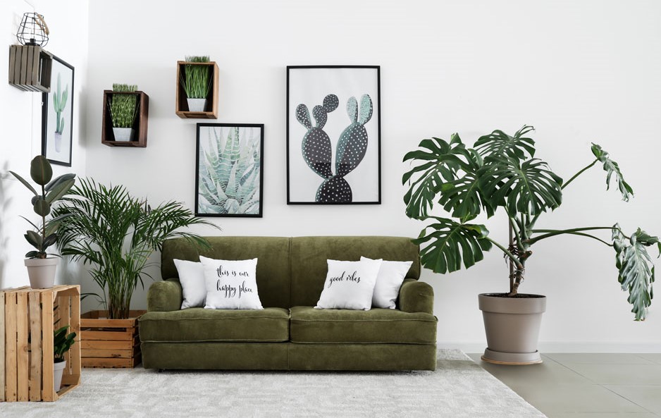 Top  Houseplants For A Healthier New Year Watters Garden Center - Top 10 Living Room Plants