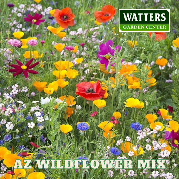 Wildflower Seed Mix