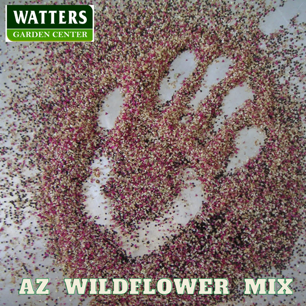 AZ Wildflower seed mix