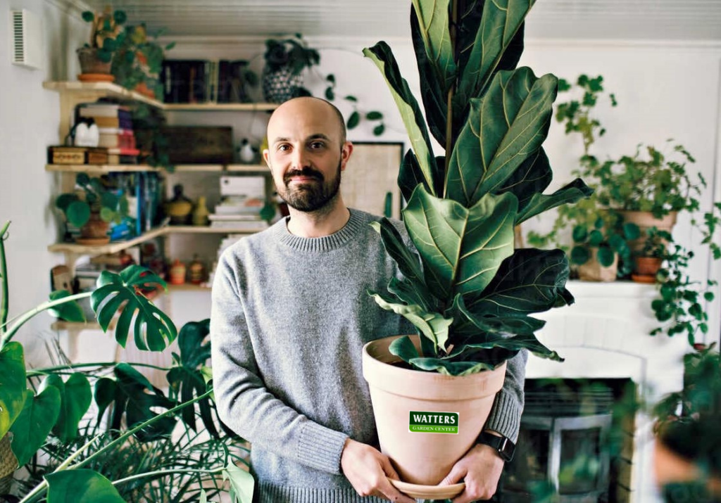 Humidity Trays for Plants - Do they really work? - My Little Jungle