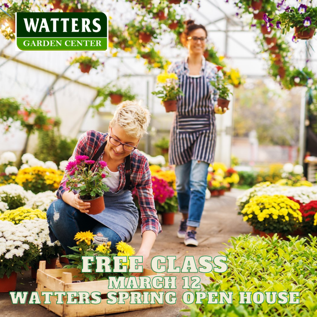 Watters 60th Spring Open House