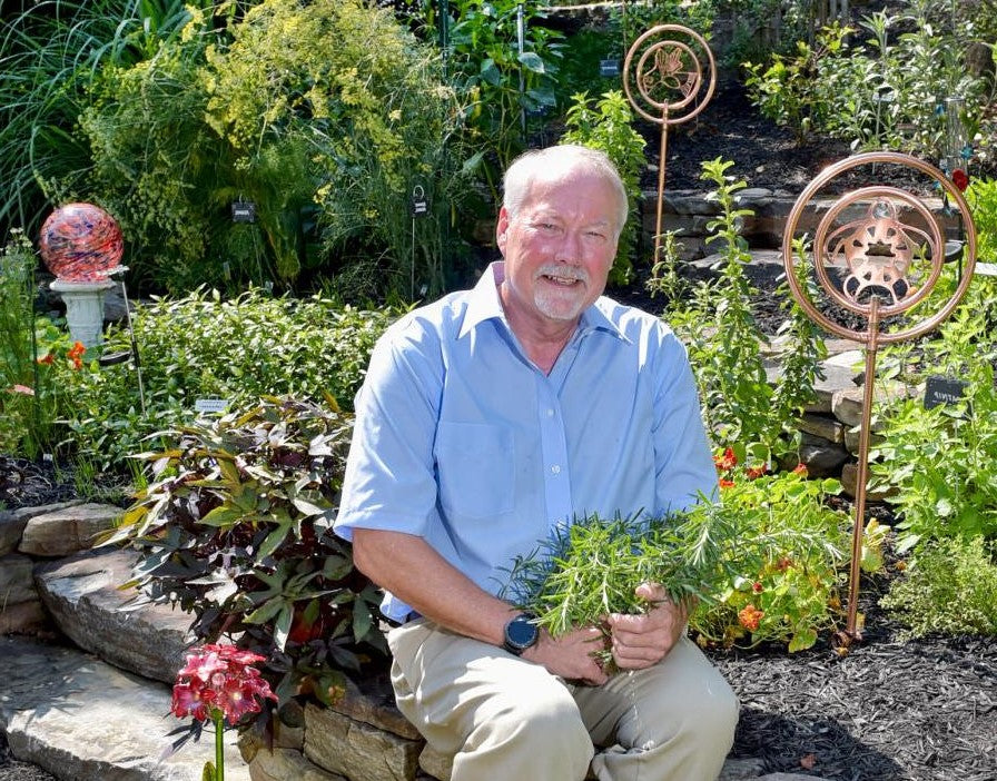 Gardener Mr Sanders favorite herb is rosemary