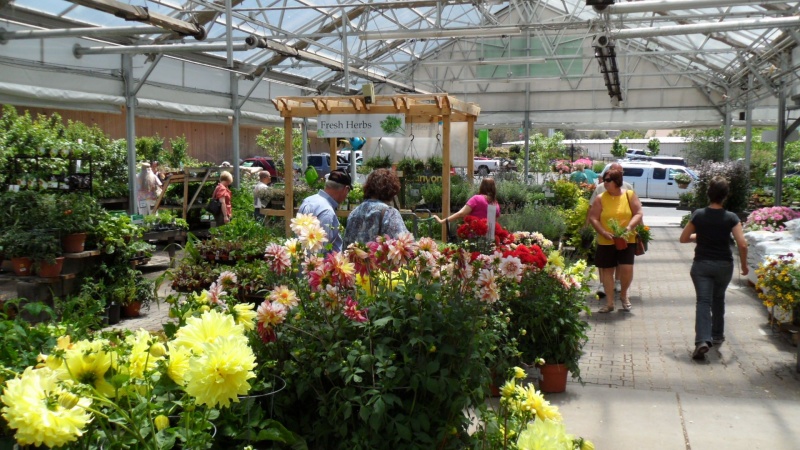 Spring Open House Shoppers