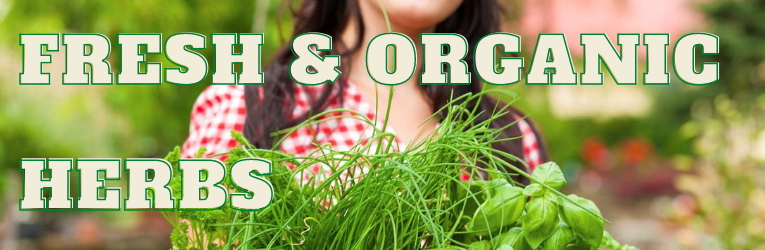 herbs fresh and organic