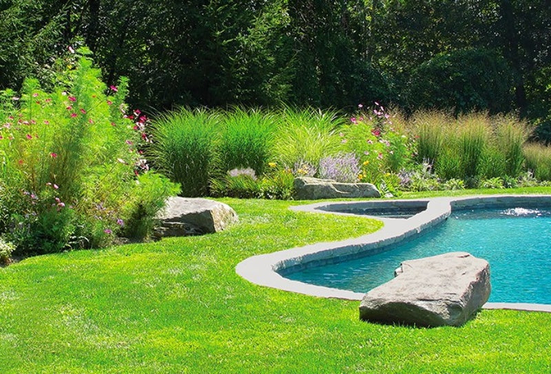 Artful Rock shouldering the pool area