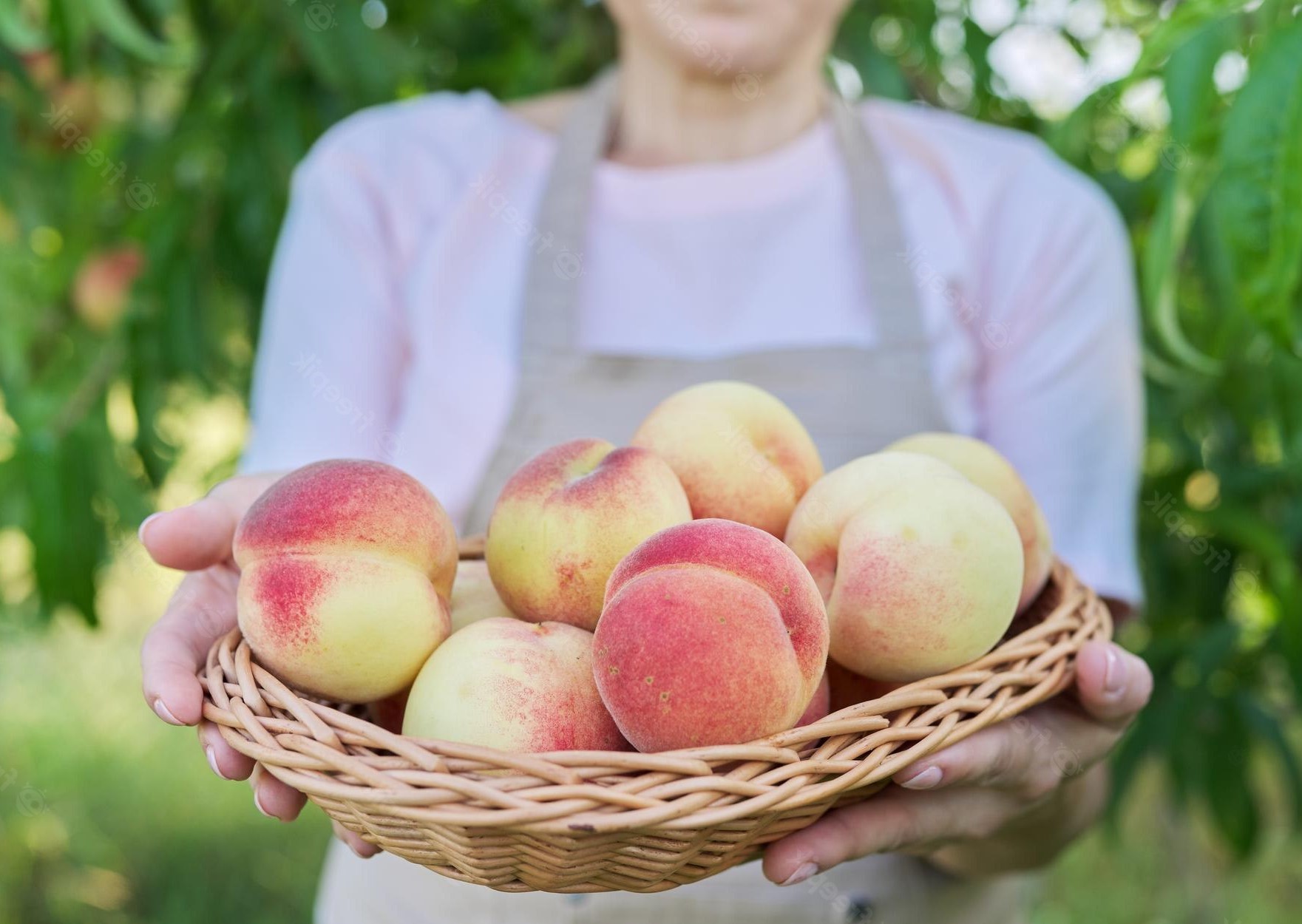 Woman holding a Basket of Peaches