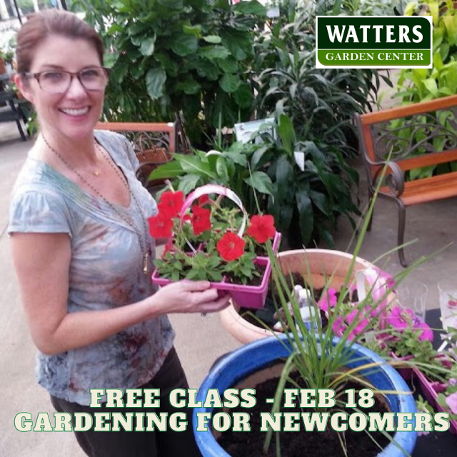 Feb 18 Garden Class Gardening for Newcomers