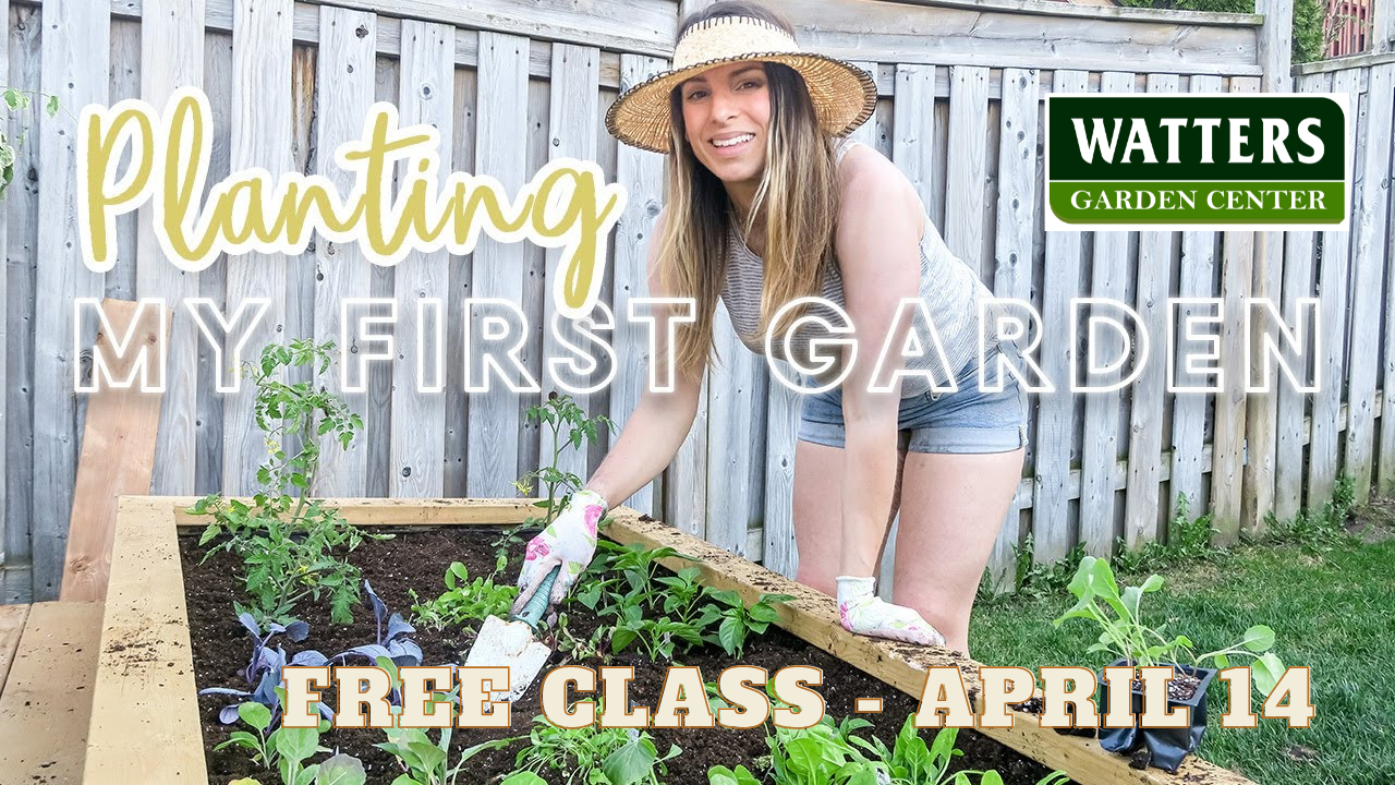 April 14 Garden Class My First Herb and Vegtable Gardens
