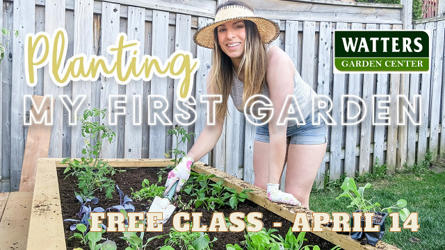 April 4 Garden Class Planting my First Garden
