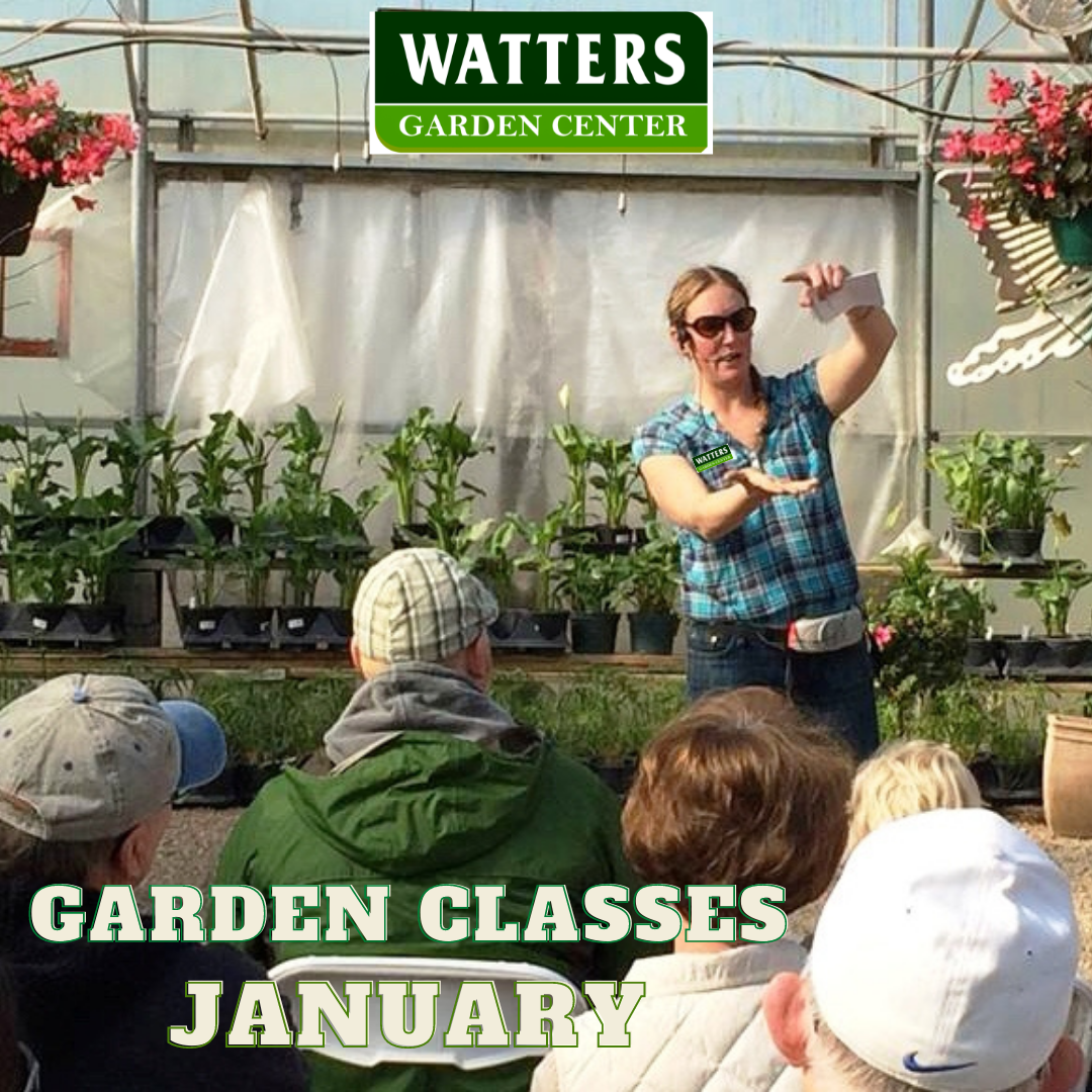January Garden class stacy teaching