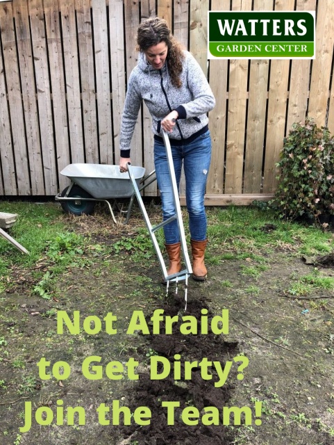 Not Afraid to Get Dirty